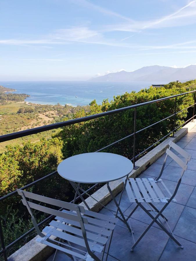 Les Hauts De Fromentica Saint-Florent  Kültér fotó